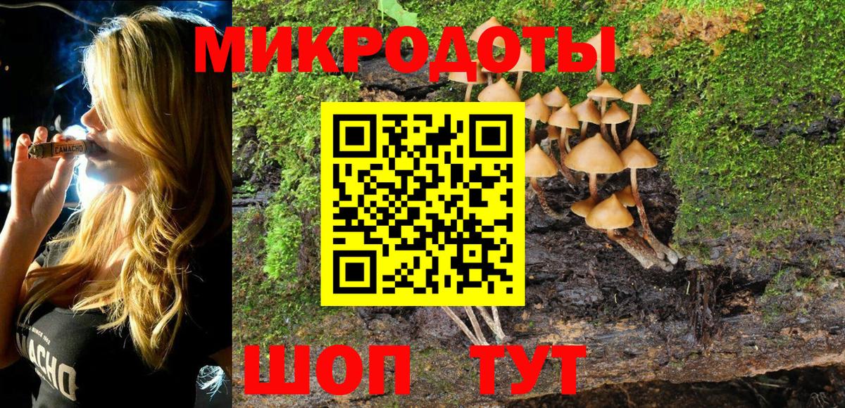 Псилоцибиновые грибы Psilocybe Кушва